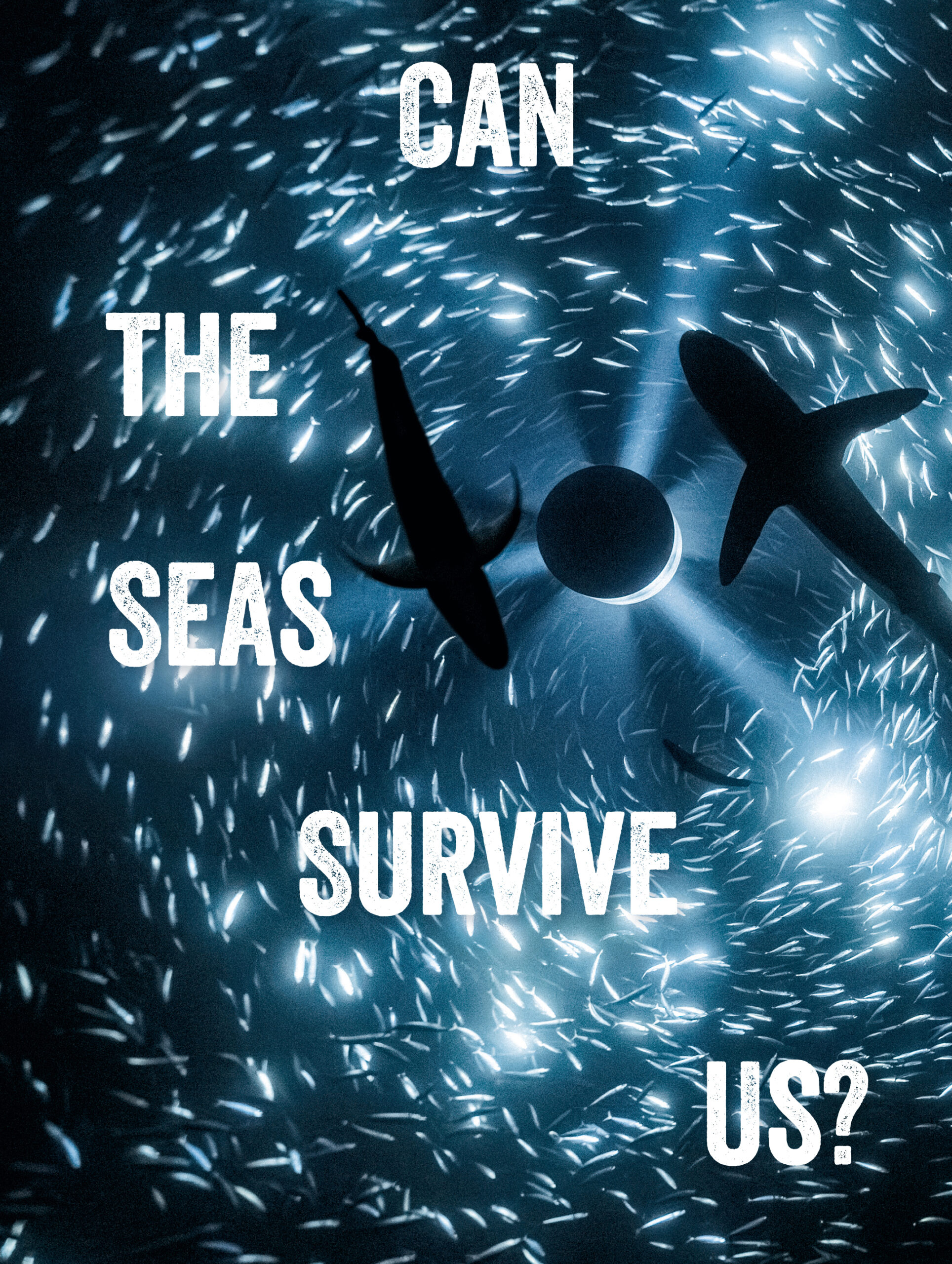 Can the Seas Survive Us?