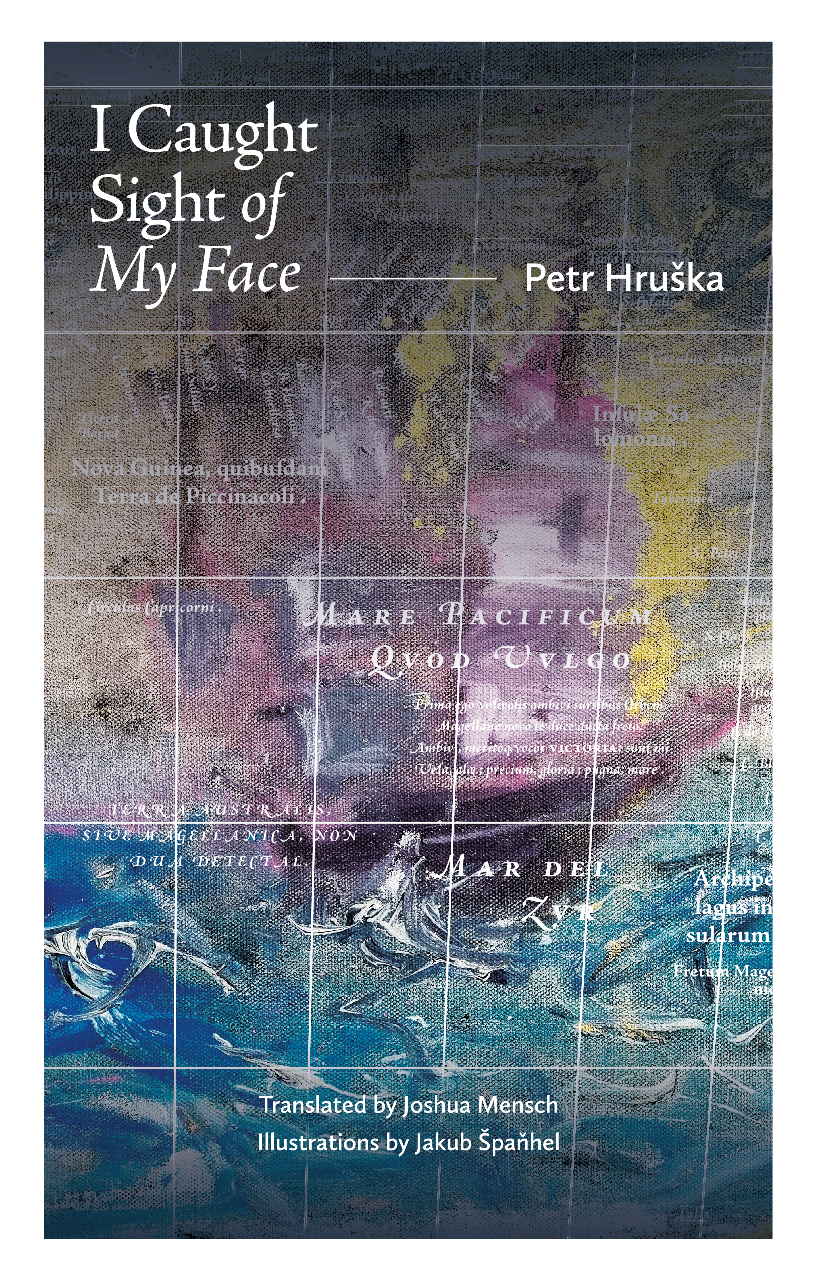 I Caught Sight of My Face