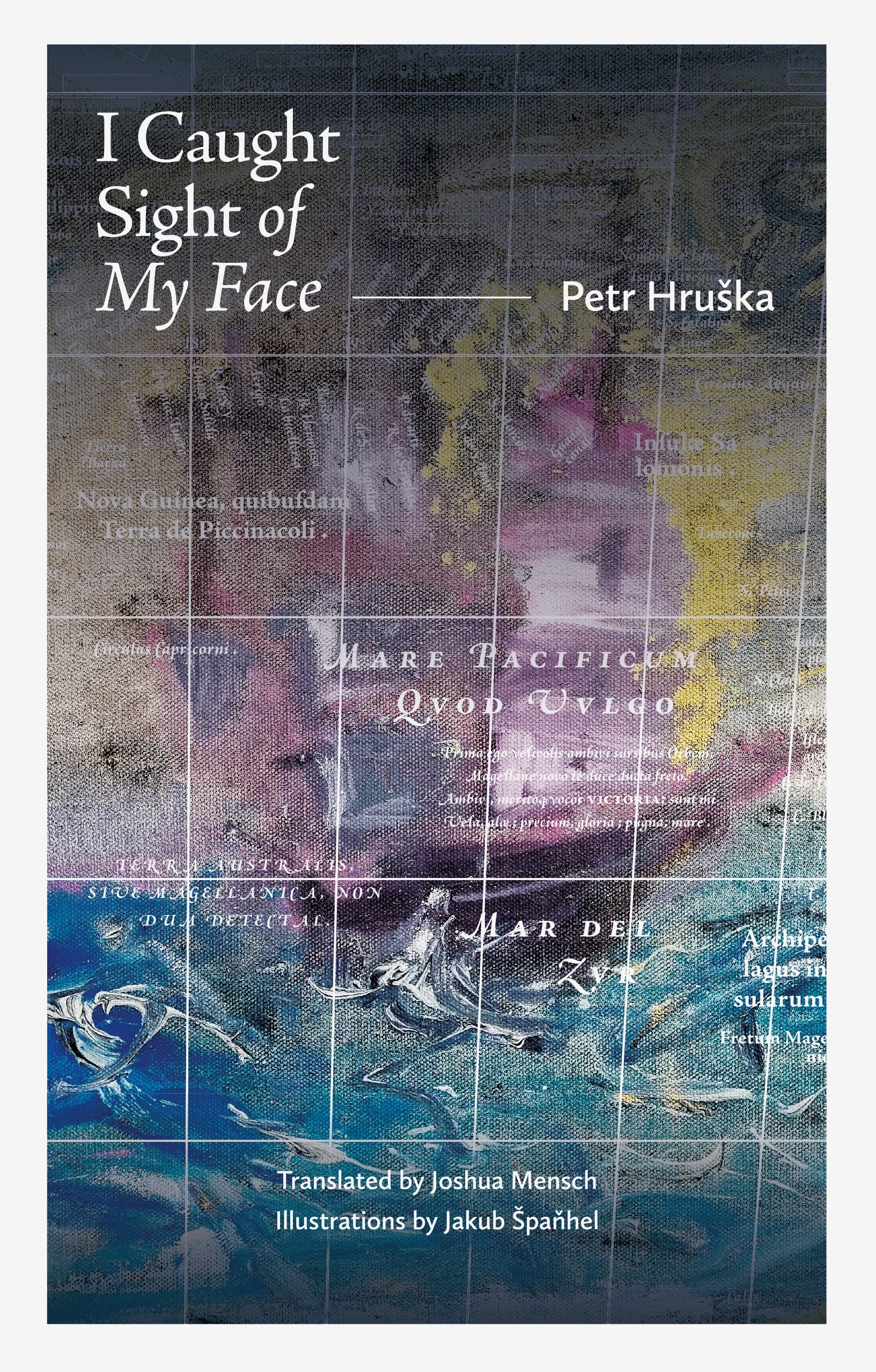 I Caught Sight of My Face