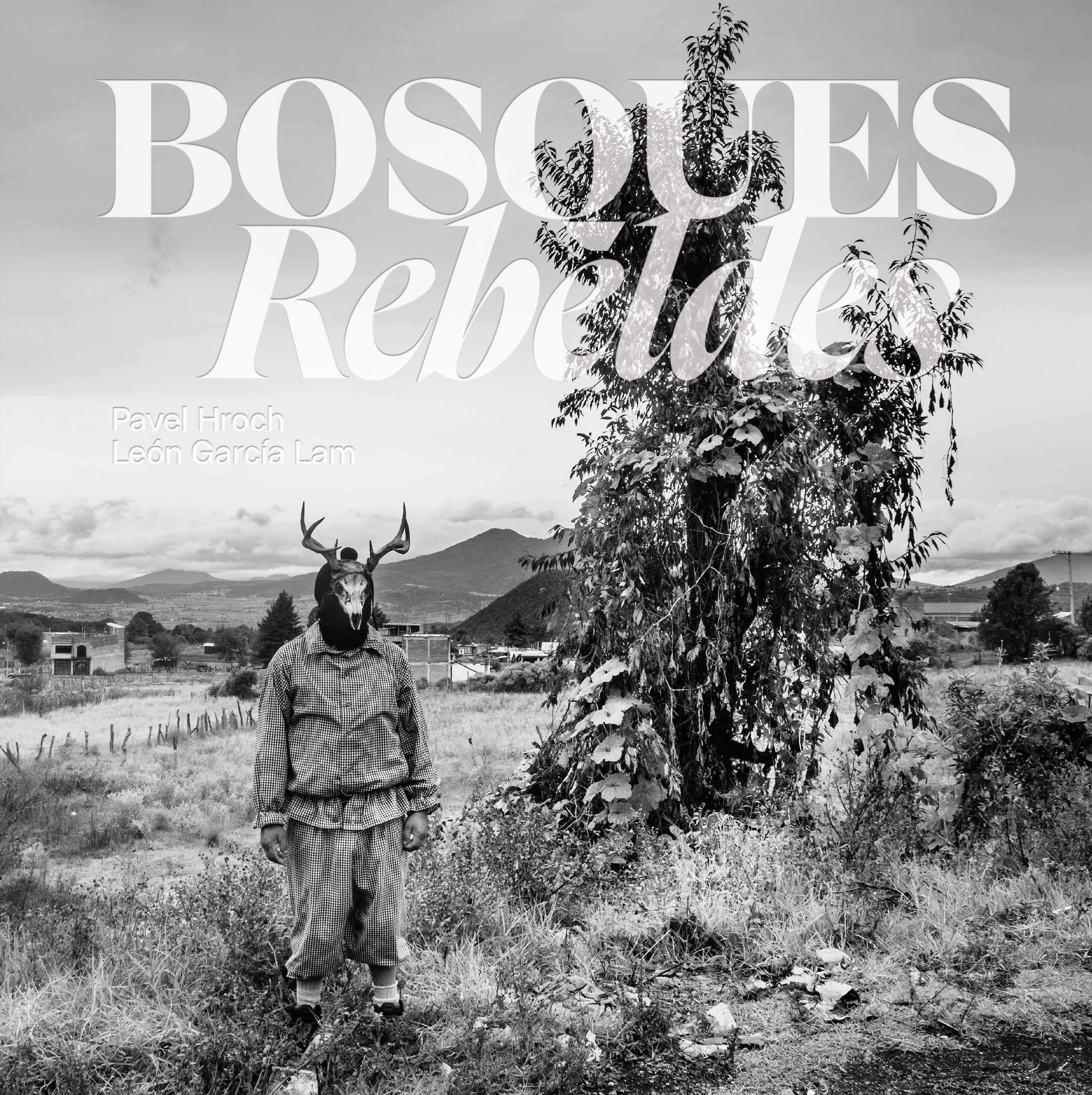 Rebellious Forests (Spanish)